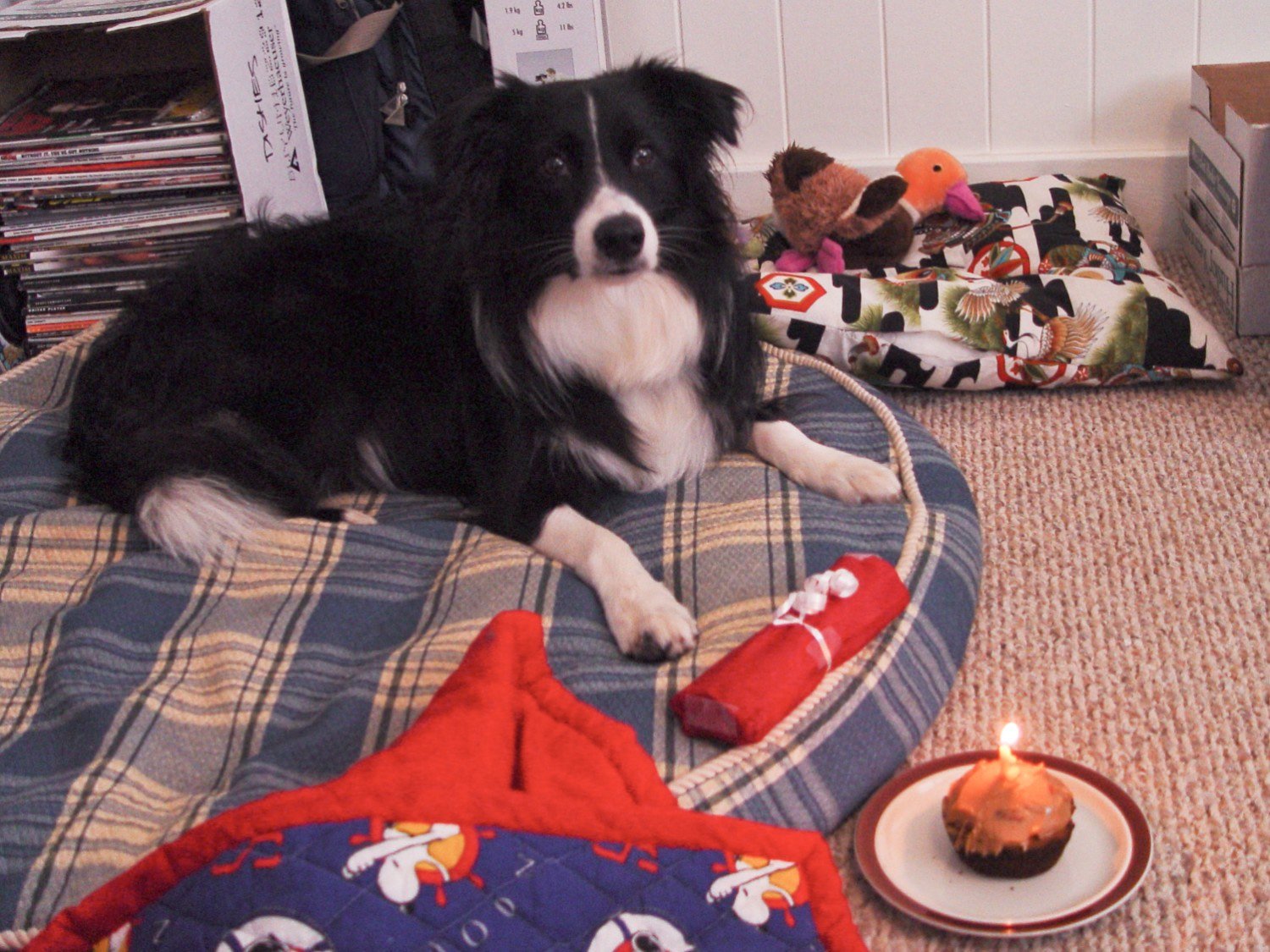 roxy-birthday-2004-1.jpg